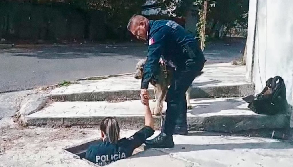 Policía de Guadalupe Rescata a Perrito Atrapado en Alcantarilla: El Tierno Final Feliz