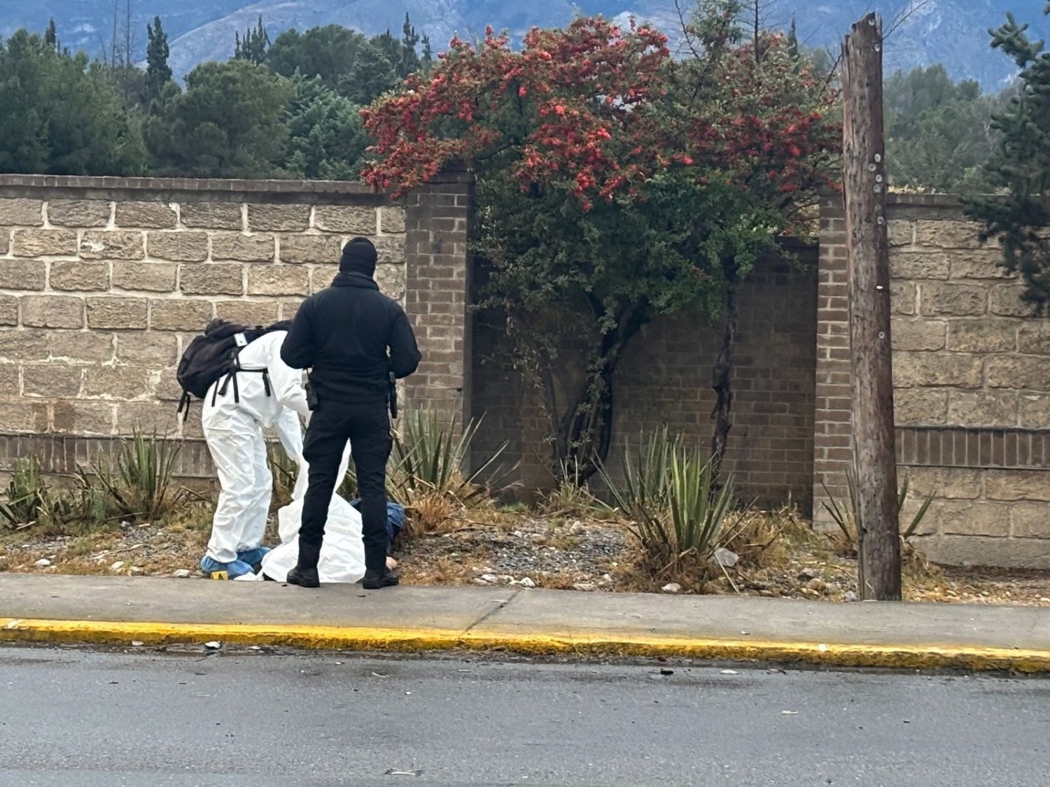 Tragedia en Saltillo: Muere Hombre Atropellado en el Bulevar Jesús Valdés Sánchez