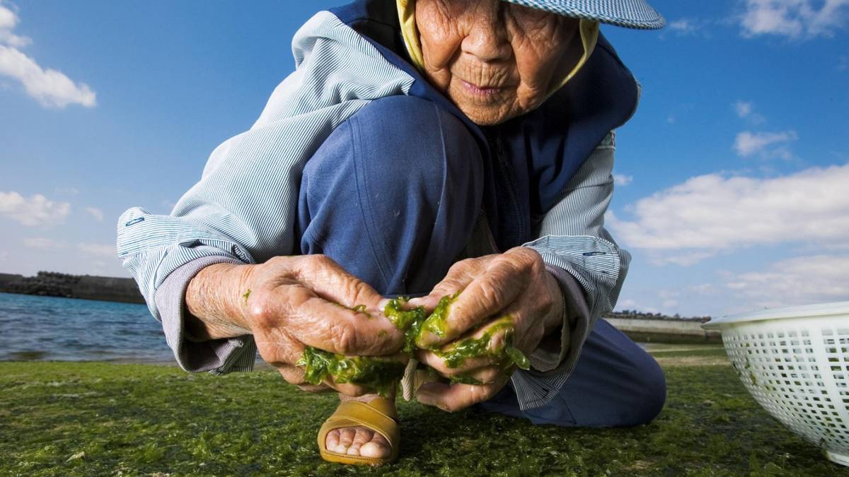 Zonas Azules: Las ciudades y regiones donde la gente vive más tiempo y sus secretos mejor guardados